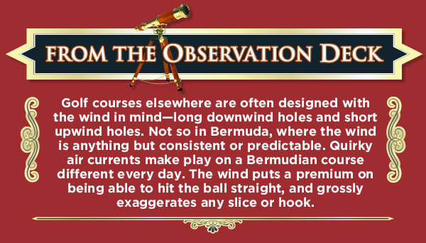 From the Observation Deck